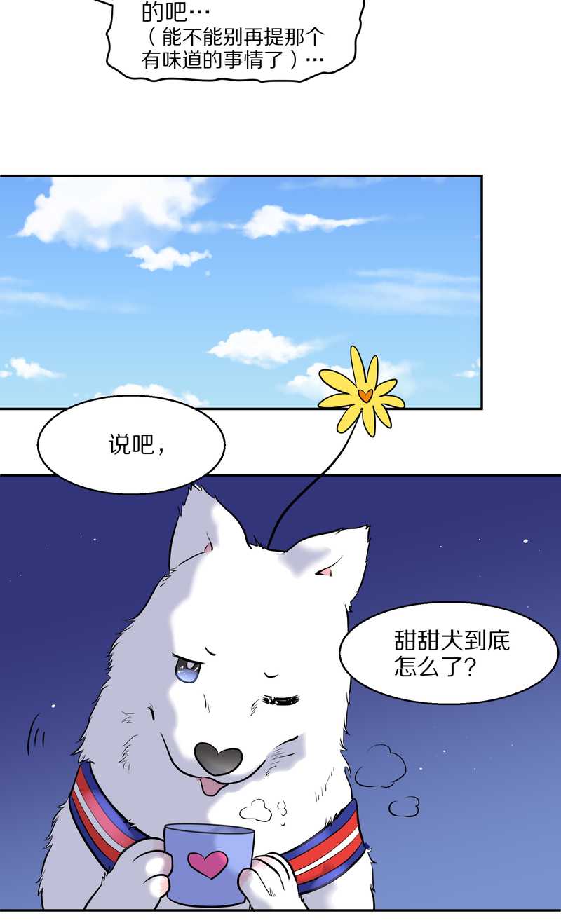 毛球星传说 第57集(1/2)-第57话