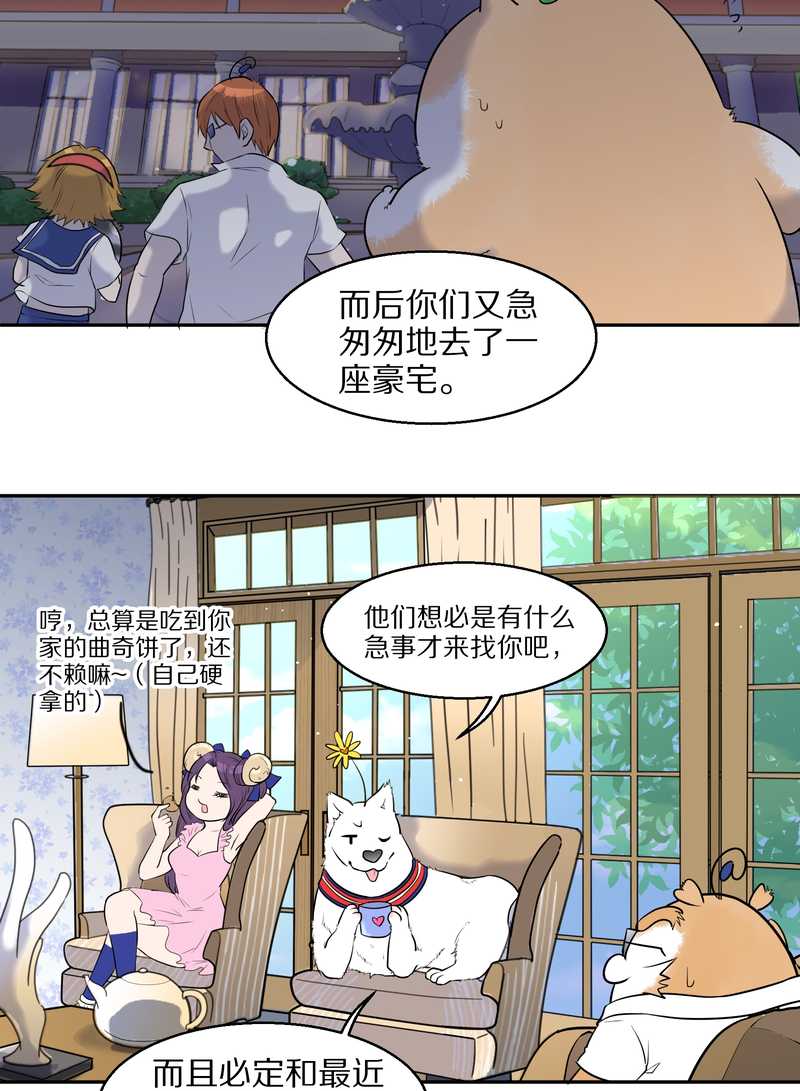 毛球星传说 第57集(1/2)-第57话