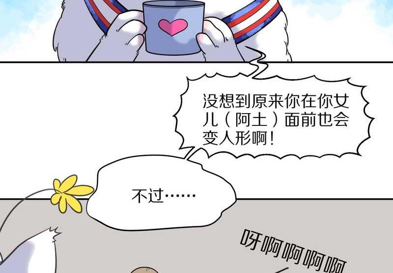 毛球星传说 第57集(1/2)-第57话