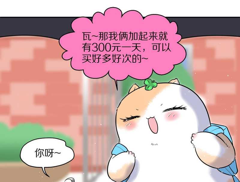 毛球星传说 第57集(1/2)-第57话