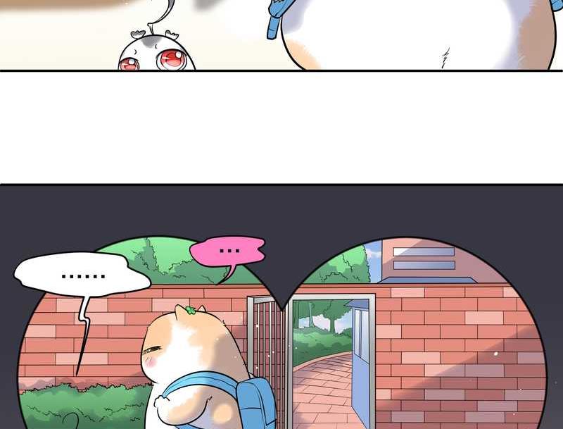 毛球星传说 第57集(1/2)-第57话