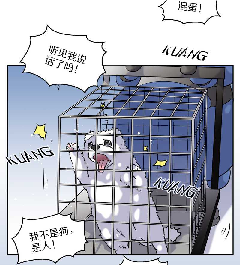 毛球星传说 第59集(1/2)-第59话