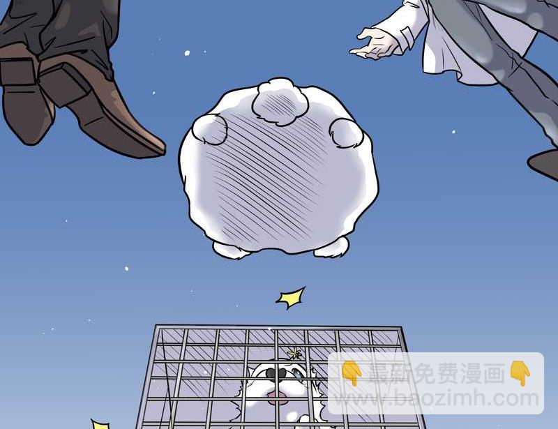 毛球星传说 第59集(1/2)-第59话