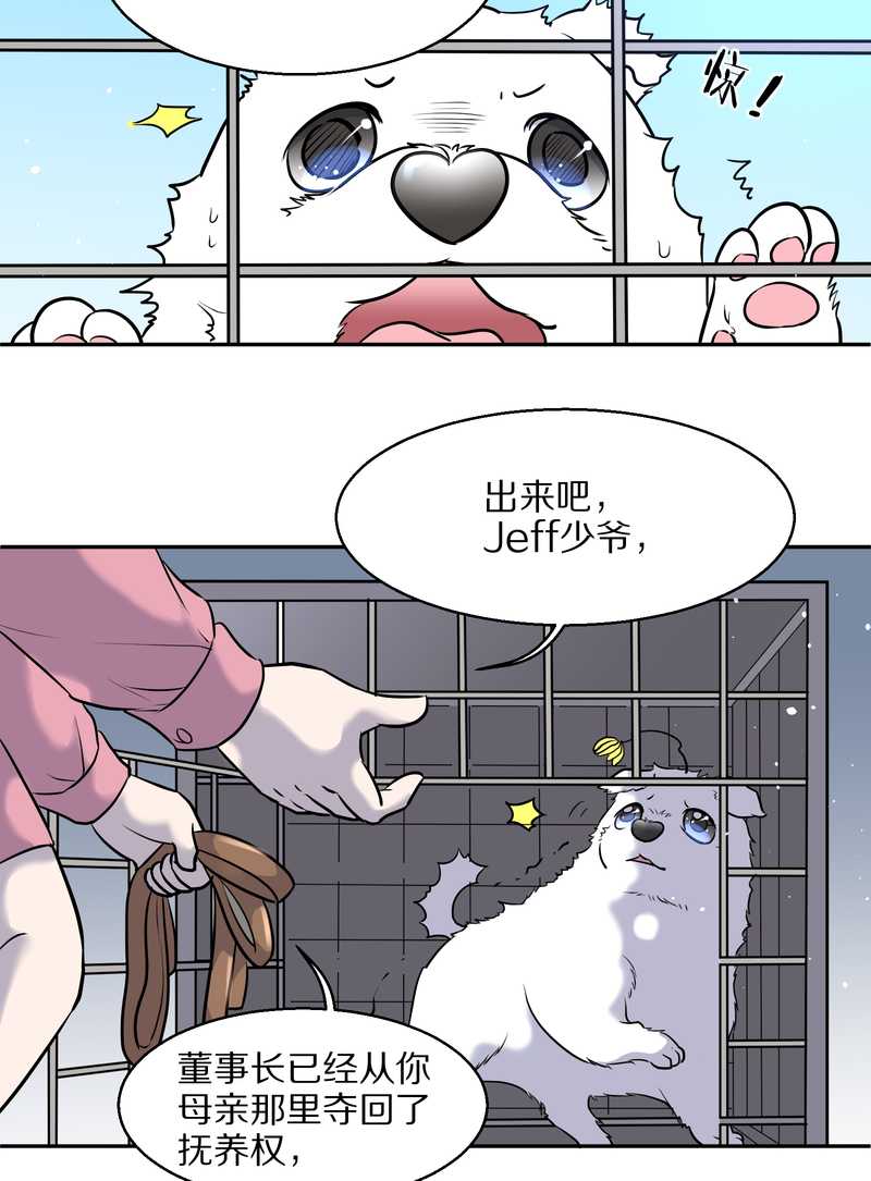 毛球星传说 第59集(1/2)-第59话