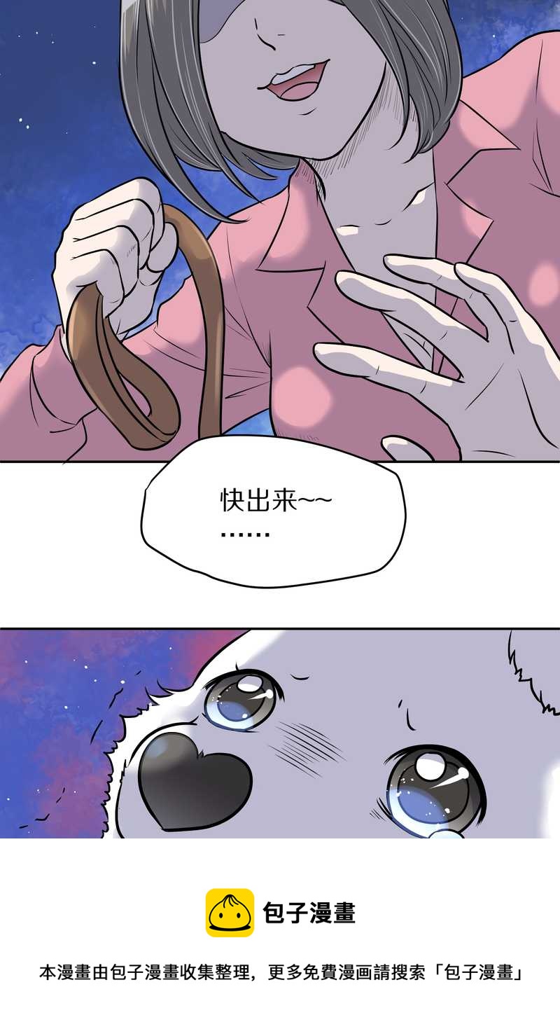 毛球星传说 第59集(1/2)-第59话