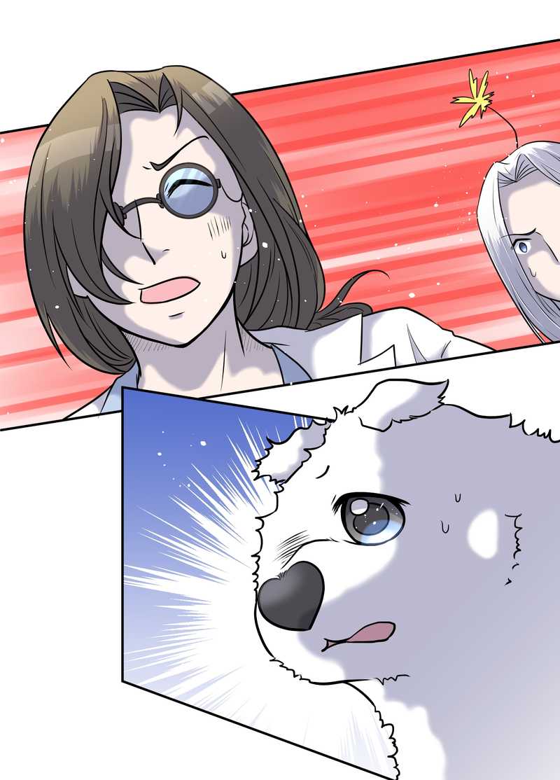 毛球星传说 第59集(1/2)-第59话