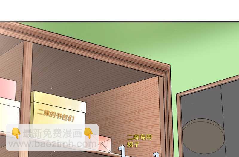 毛球星传说 第7集(1/2)-第7话