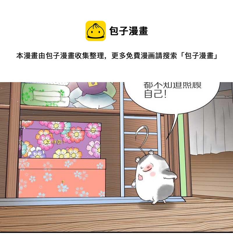 毛球星传说 第7集(1/2)-第7话