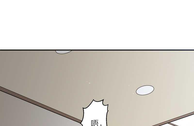 毛球星传说 第7集(1/2)-第7话