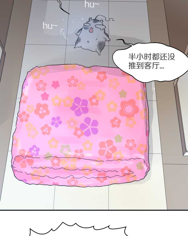 毛球星传说 第7集(1/2)-第7话