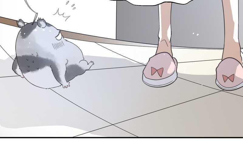 毛球星传说 第7集(1/2)-第7话