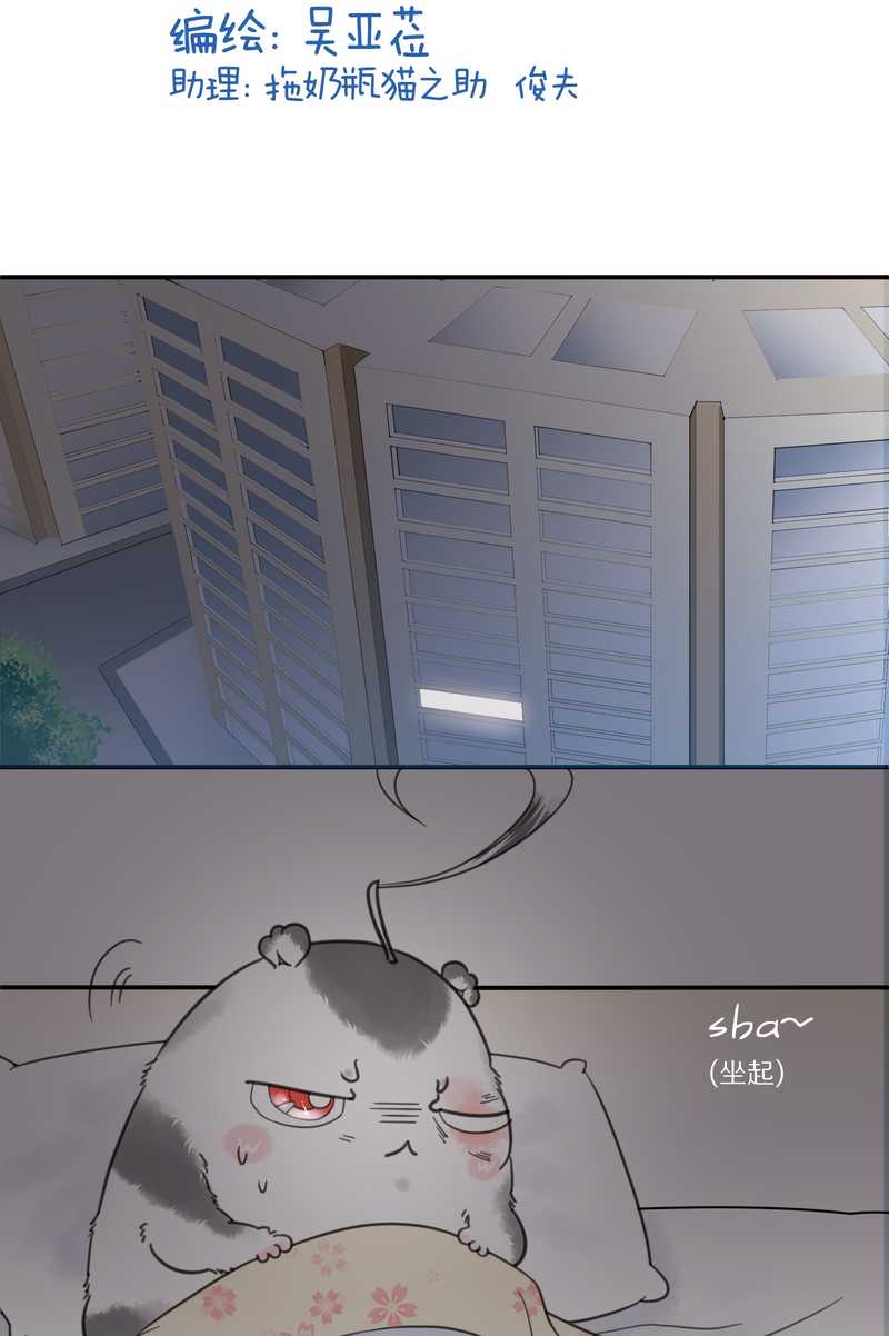 毛球星传说 第7集(1/2)-第7话