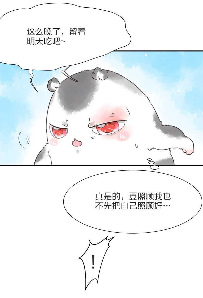 毛球星传说 第7集(1/2)-第7话