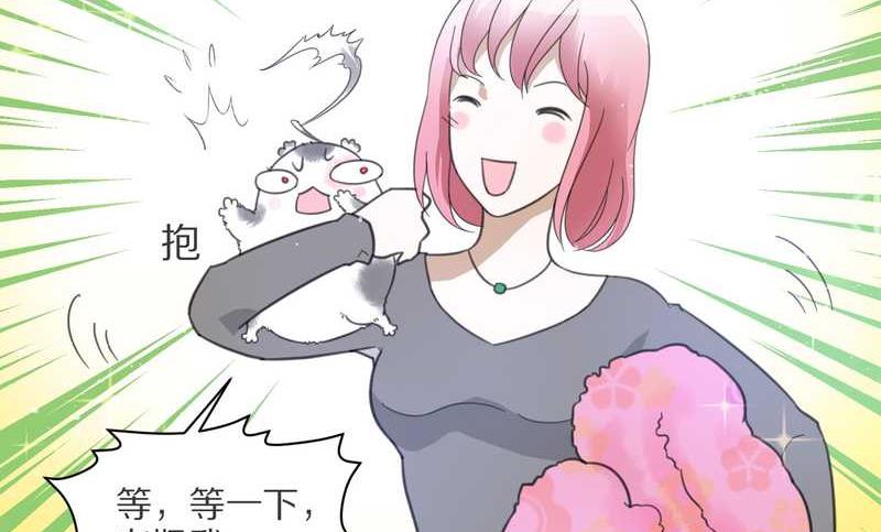 毛球星传说 第7集(1/2)-第7话