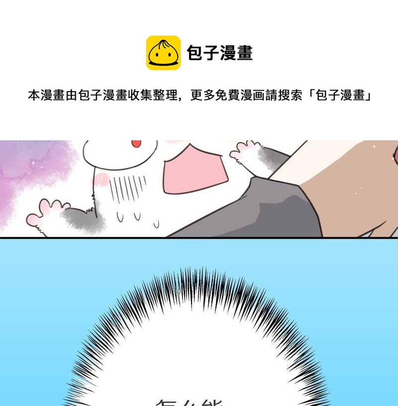 毛球星传说 第7集(1/2)-第7话