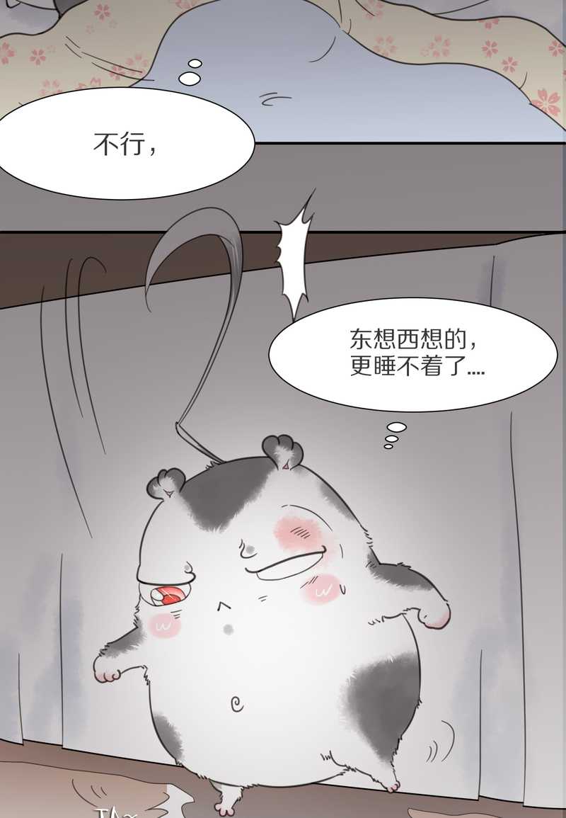 毛球星传说 第7集(1/2)-第7话