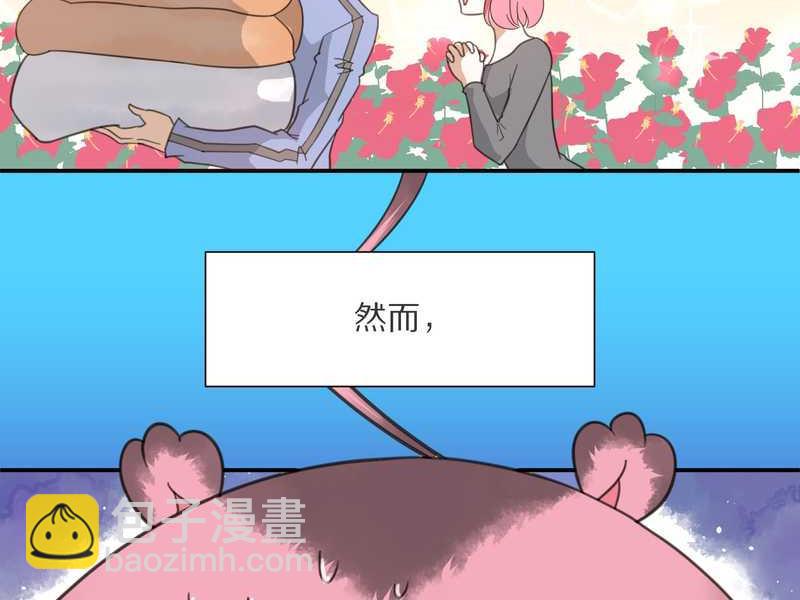 毛球星传说 第7集(1/2)-第7话