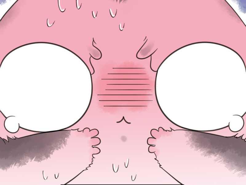 毛球星传说 第7集(1/2)-第7话