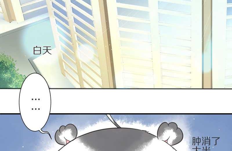 毛球星传说 第7集(1/2)-第7话