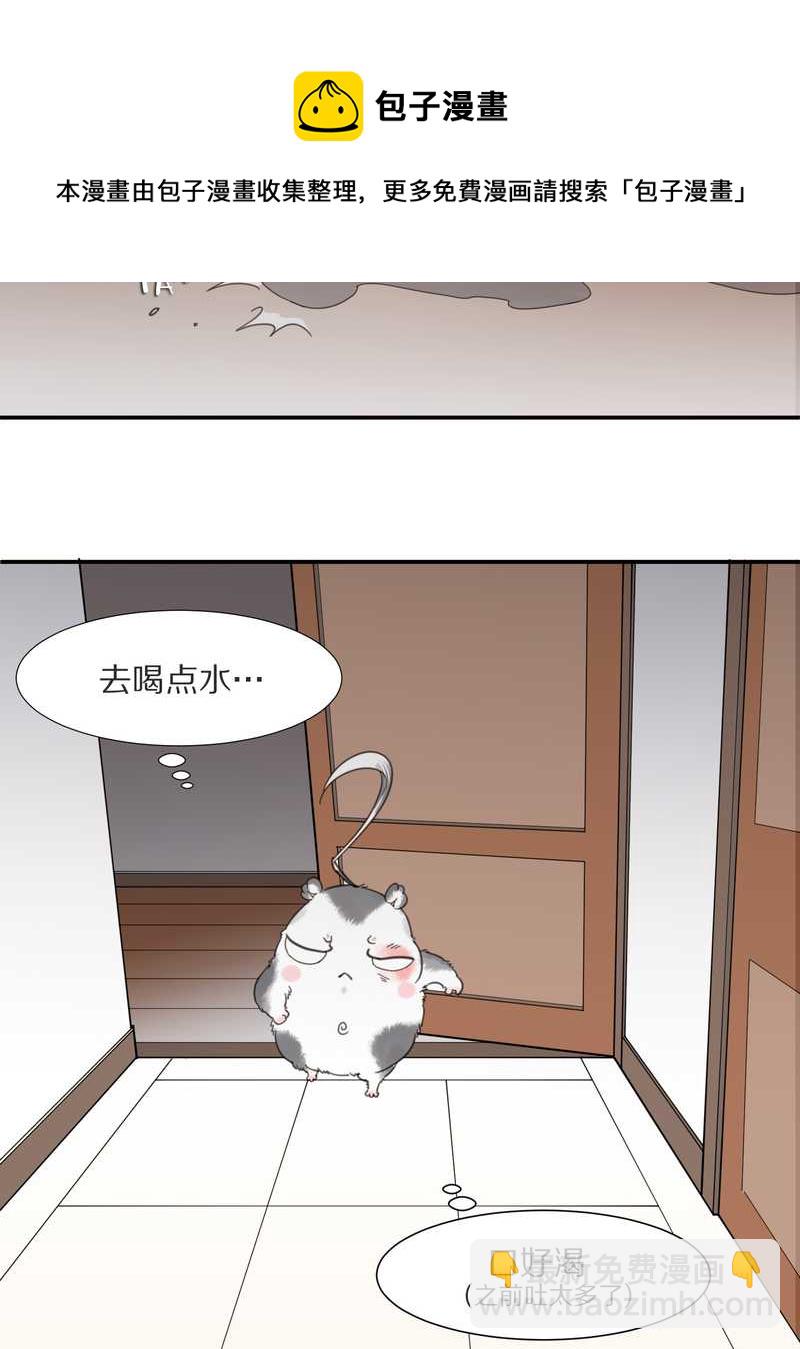 毛球星传说 第7集(1/2)-第7话