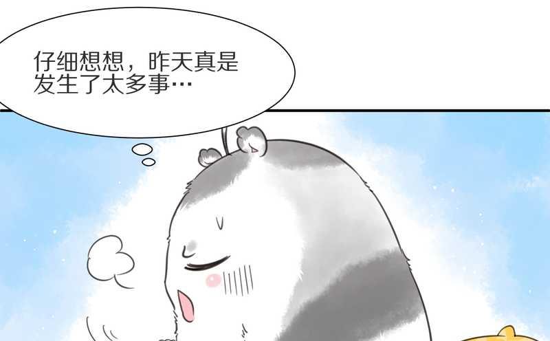 毛球星传说 第7集(1/2)-第7话