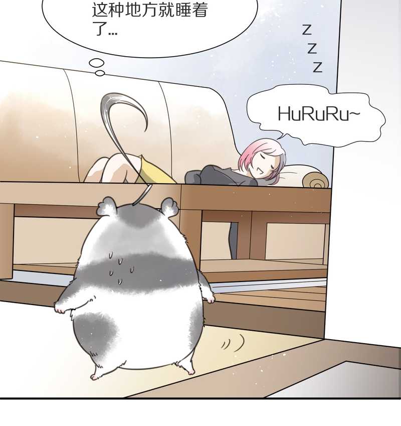 毛球星传说 第7集(1/2)-第7话