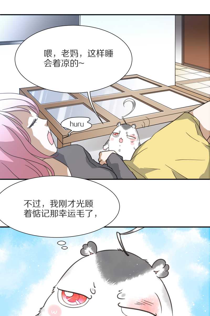 毛球星传说 第7集(1/2)-第7话