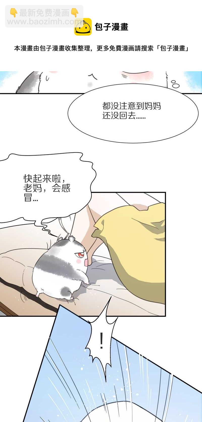 毛球星传说 第7集(1/2)-第7话