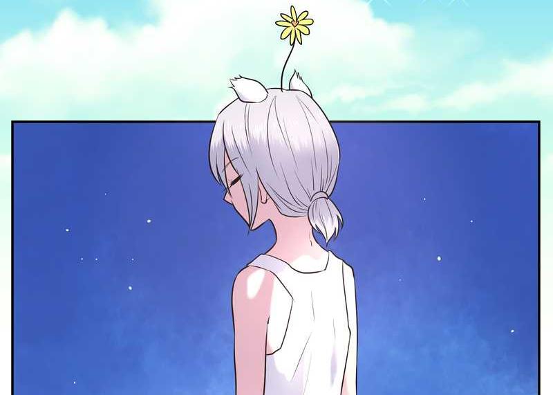 毛球星传说 第61集(1/2)-第61话