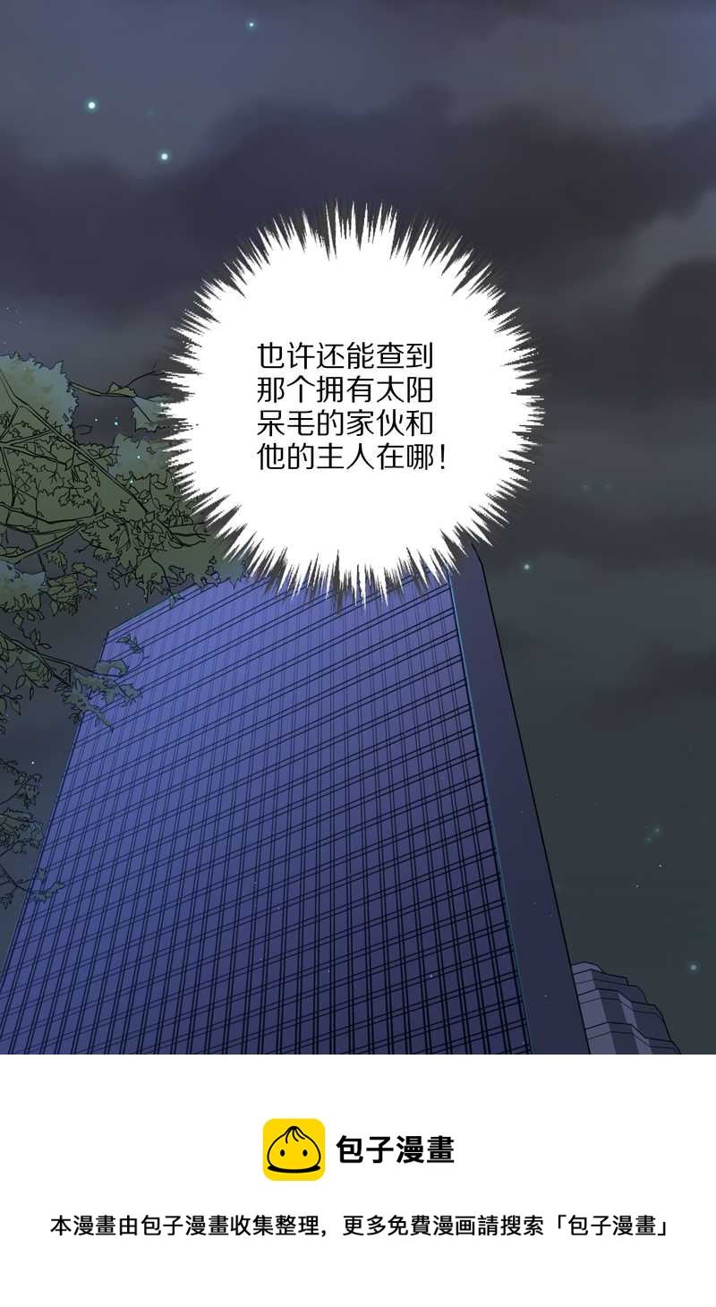 毛球星传说 第61集(1/2)-第61话