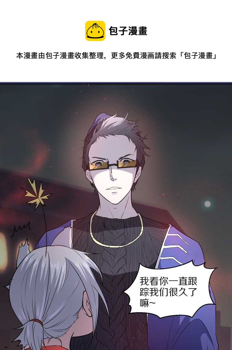 毛球星传说 第61集(1/2)-第61话