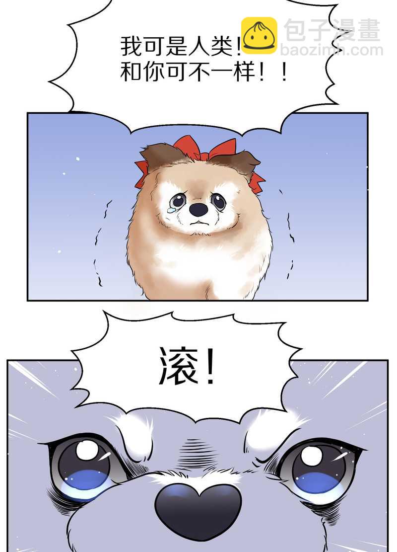 毛球星传说 第63集(1/2)-第63话