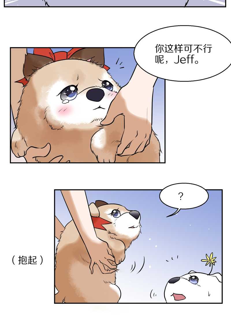 毛球星传说 第63集(1/2)-第63话