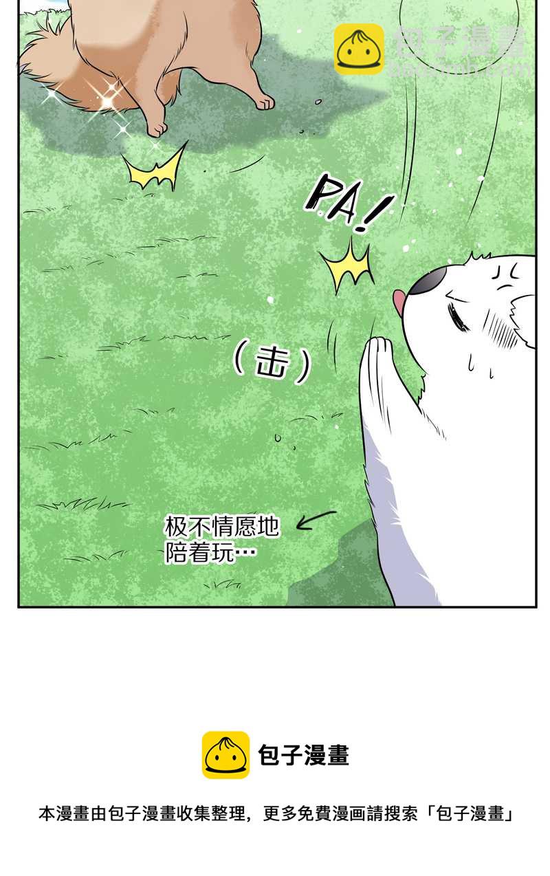 毛球星传说 第63集(1/2)-第63话
