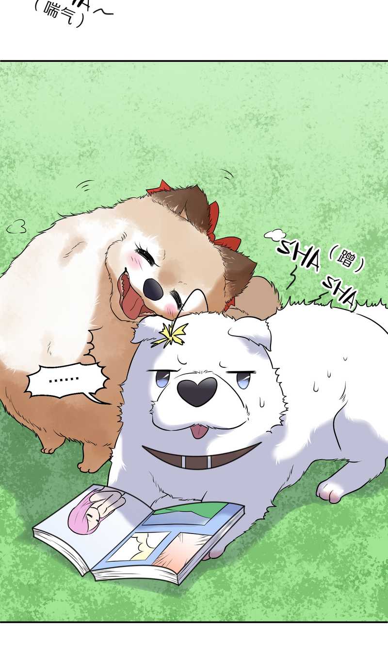 毛球星传说 第63集(1/2)-第63话