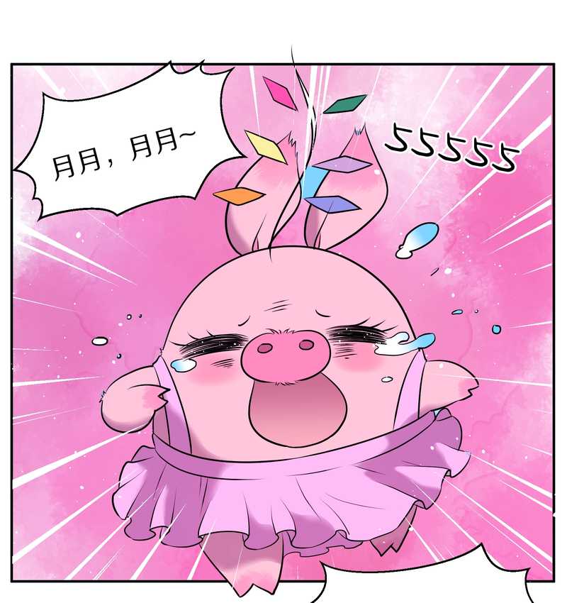 毛球星传说 第65集(1/2)-第65话