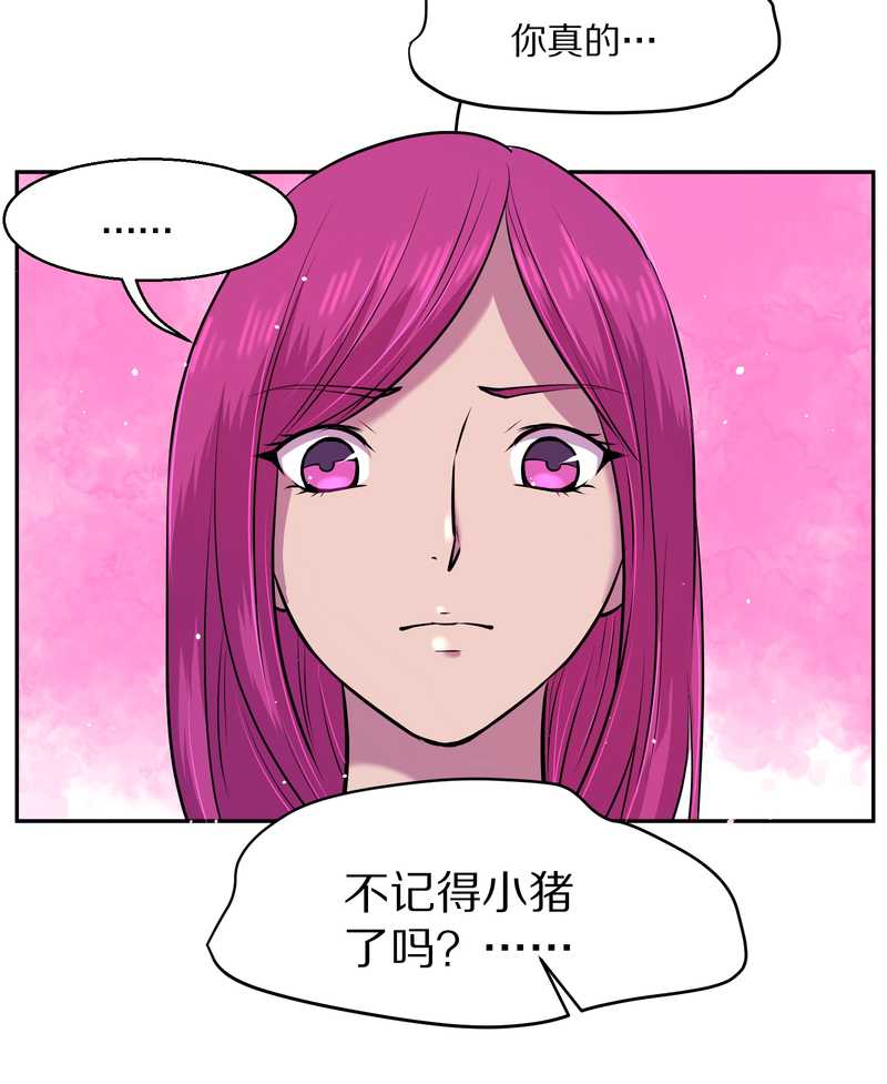 毛球星传说 第65集(1/2)-第65话