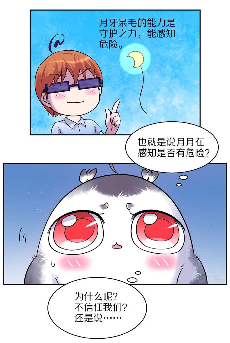 毛球星传说 第67集(1/2)-第67话