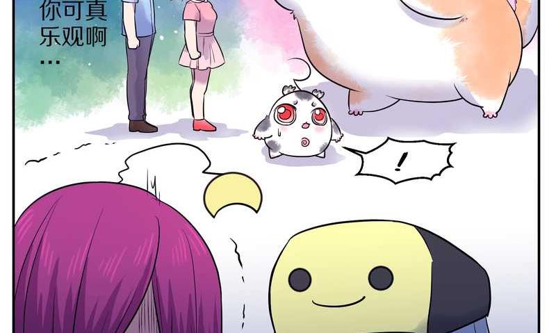 毛球星传说 第67集(1/2)-第67话