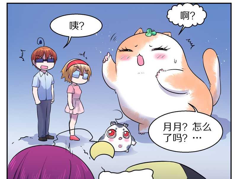 毛球星传说 第67集(1/2)-第67话