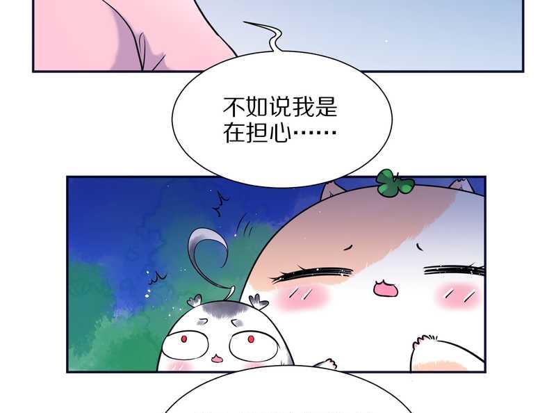毛球星传说 第69集(1/2)-第69话