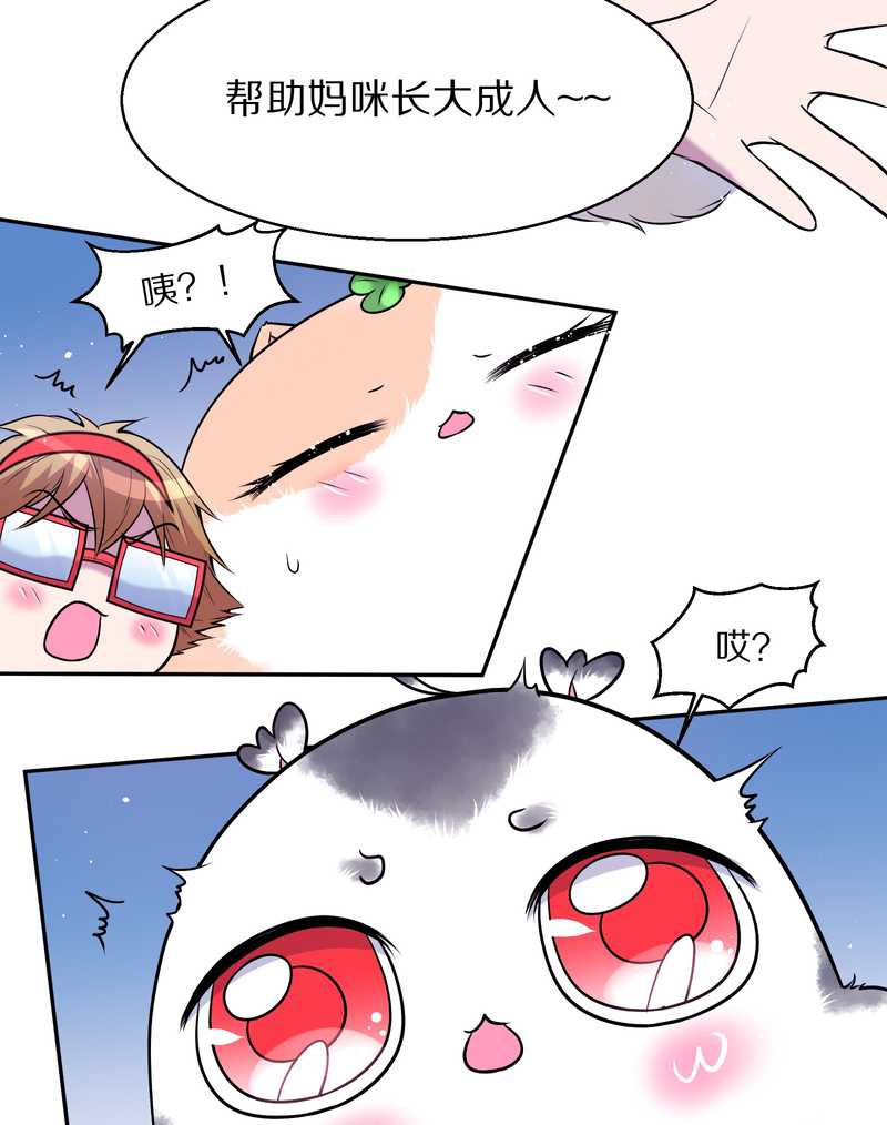 毛球星传说 第69集(1/2)-第69话