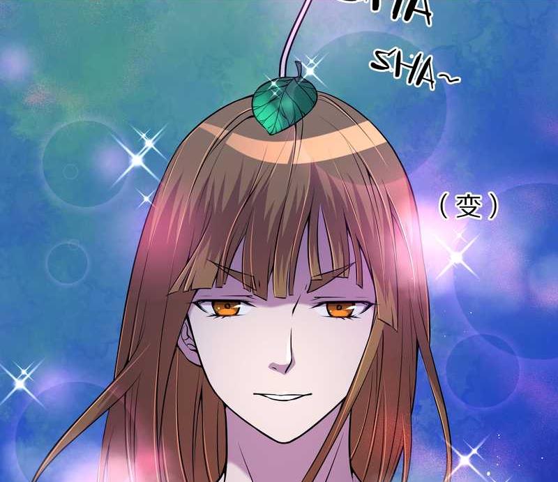 毛球星传说 第69集(1/2)-第69话