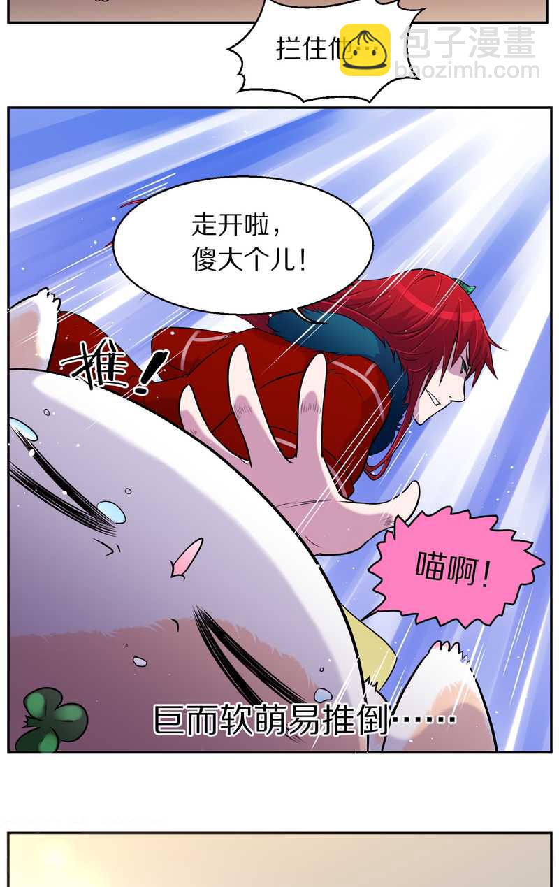 毛球星传说 第73集(1/2)-第73话