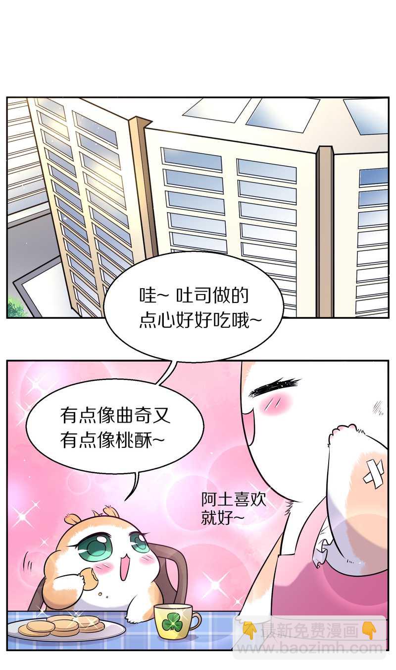 毛球星传说 第73集(1/2)-第73话