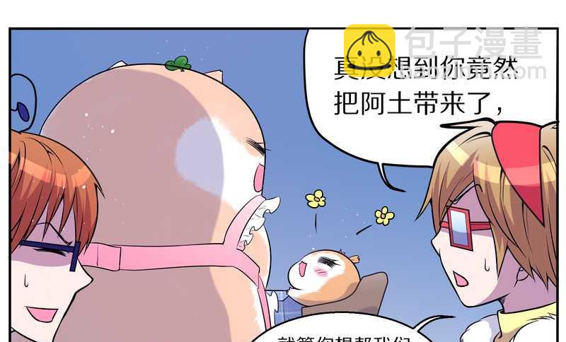 毛球星传说 第73集(1/2)-第73话