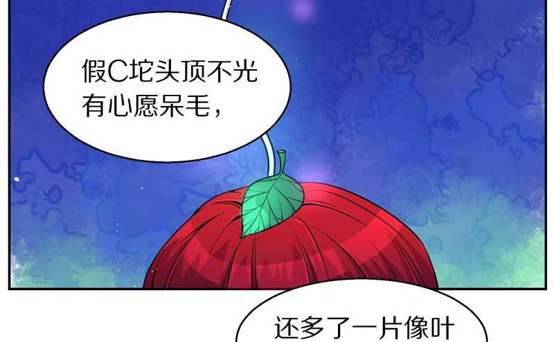 毛球星传说 第73集(1/2)-第73话