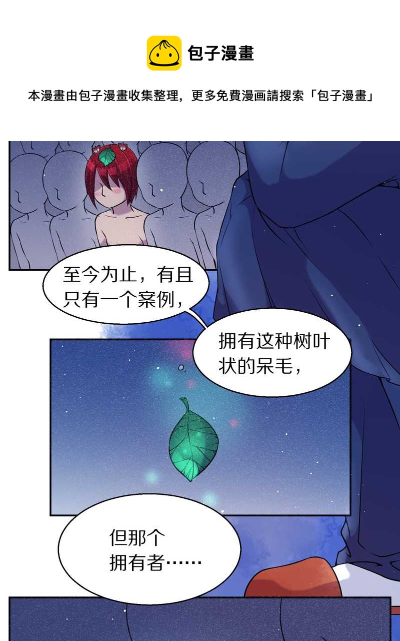 毛球星传说 第73集(1/2)-第73话