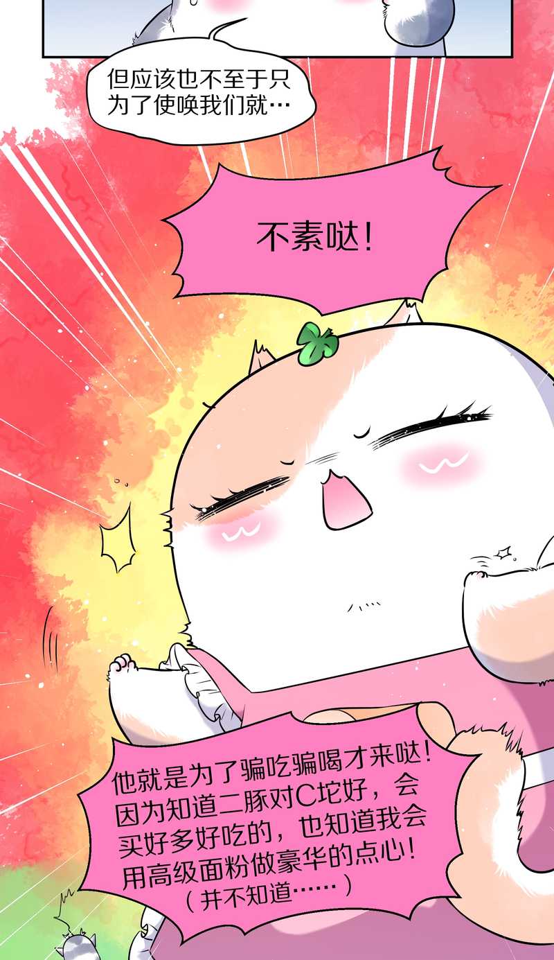 毛球星传说 第73集(1/2)-第73话