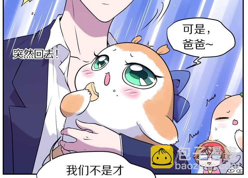 毛球星传说 第73集(1/2)-第73话